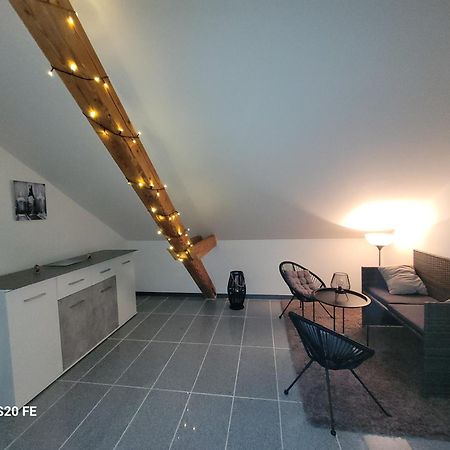 Penthouse N74 Linz 120 Qm Kids Welcome! Exterior foto