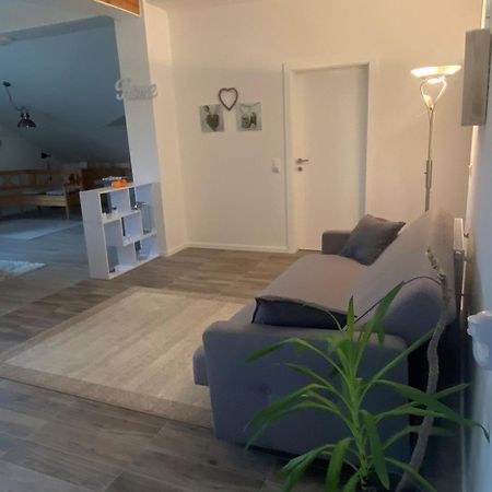 Penthouse N74 Linz 120 Qm Kids Welcome! Exterior foto