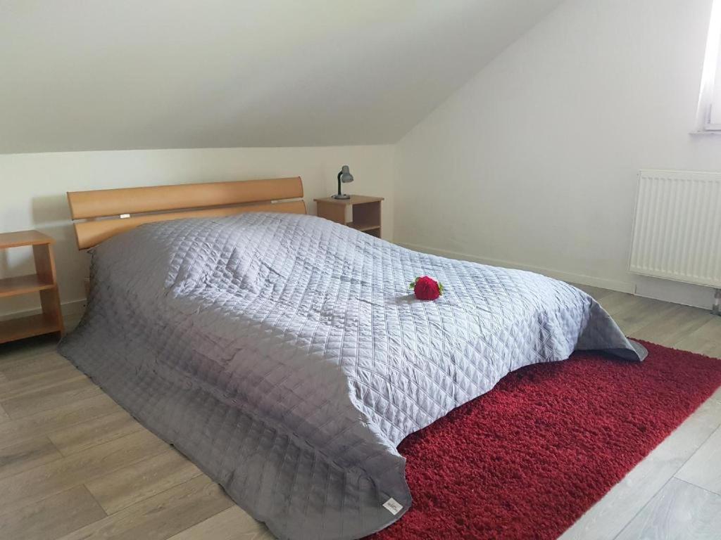 Penthouse N74 Linz 120 Qm Kids Welcome! Exterior foto