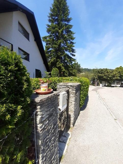 Penthouse N74 Linz 120 Qm Kids Welcome! Exterior foto