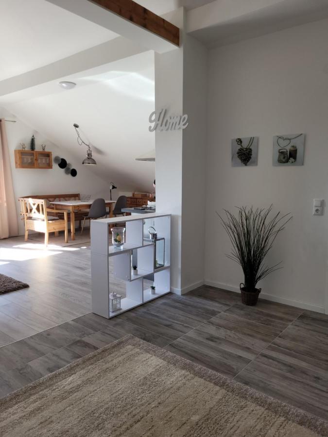 Penthouse N74 Linz 120 Qm Kids Welcome! Exterior foto